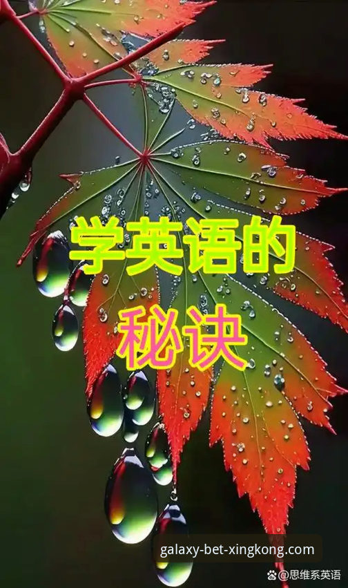 星空体育平台使用技巧完整指南：从下载到高效应用的实战手册